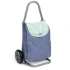 Carrito de la compra de juguete