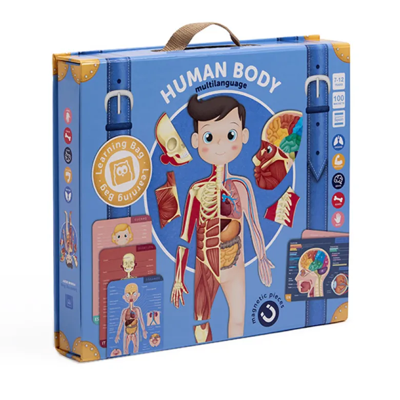 Human body magnético multi lenguaje