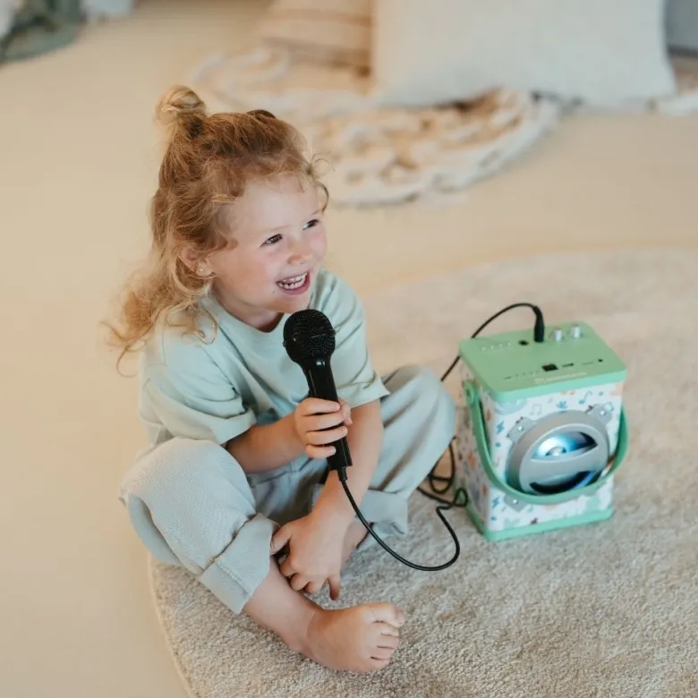 Karaoke portátil con bluetooth