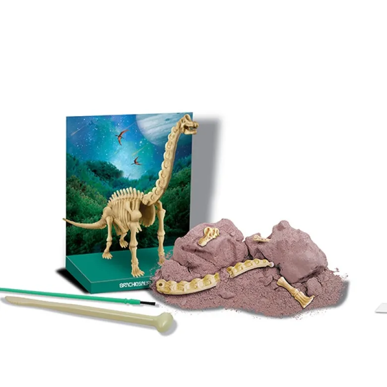 KidzLabs paleontología esqueleto Brachiosaurus