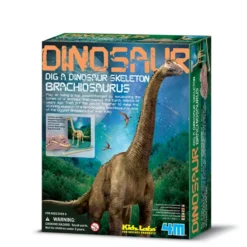 KidzLabs paleontología esqueleto Brachiosaurus