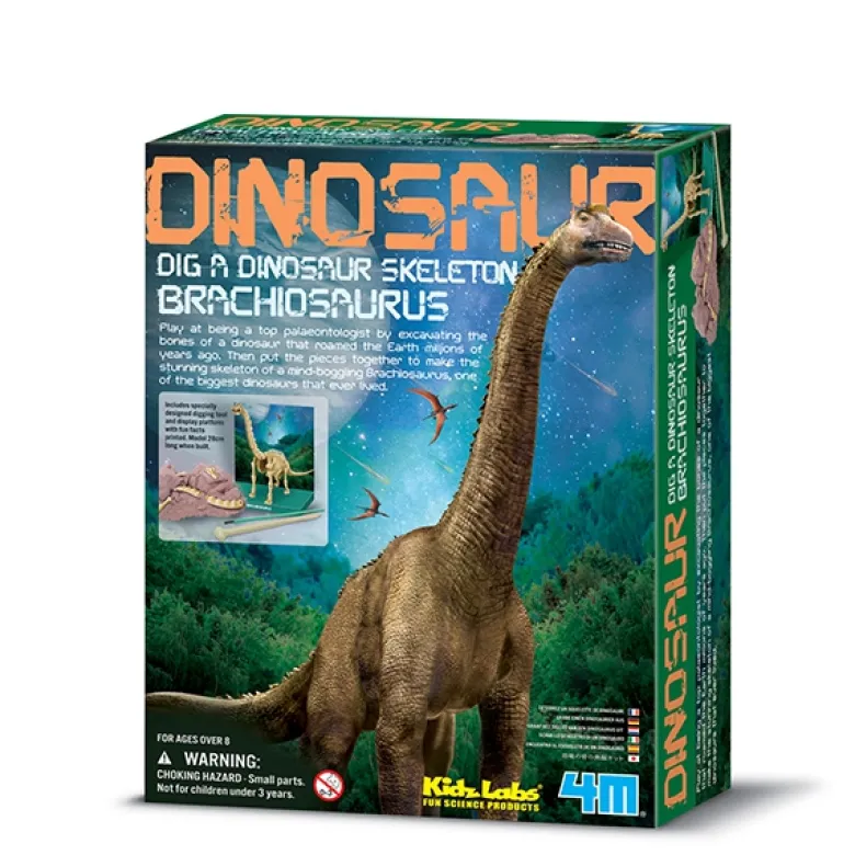 KidzLabs paleontología esqueleto Brachiosaurus