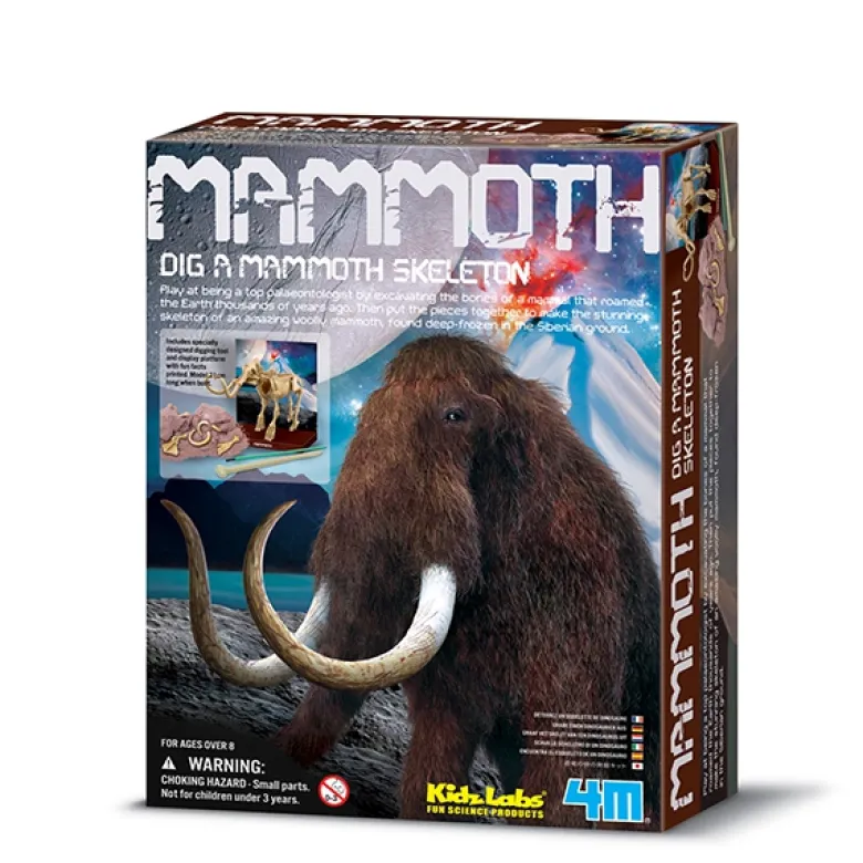 KidzLabs paleontología esqueleto mamut