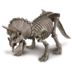 Kit Geológico de un Triceratops – Kidz Labs