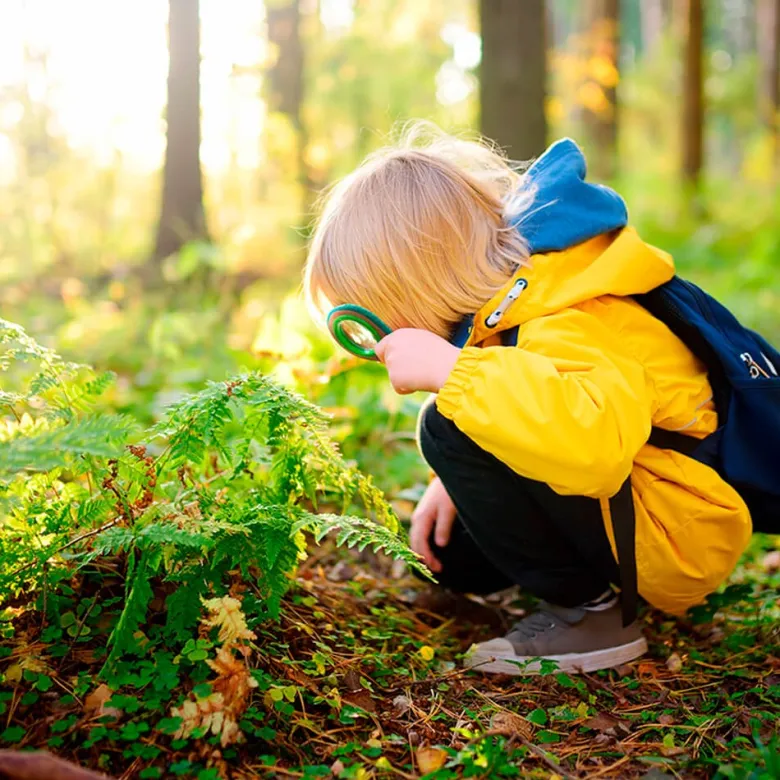 Lupa y silbato para explorar la naturaleza