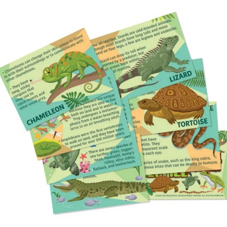Moldea y Pinta Reptiles y Anfibios