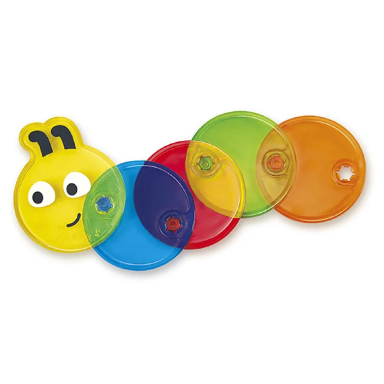 Oruga multicolor