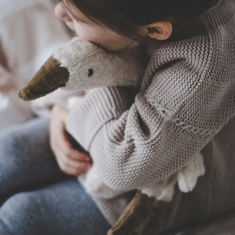 Peluche y almohada calentable – Ganso Pequeño