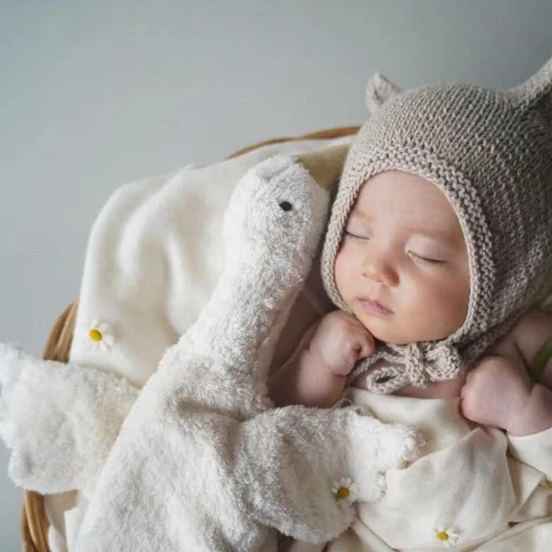 Peluche y almohada calentable – Ganso Pequeño